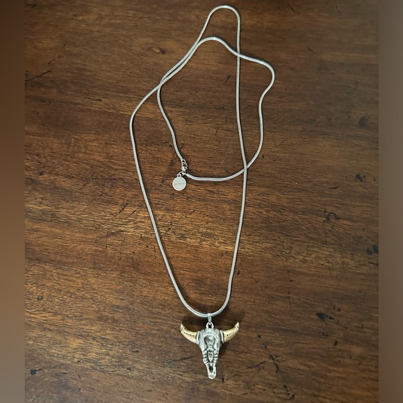 Alex & Ani Spirited Skull, large, two tone necklace - Picture 7 of 10